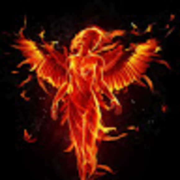 phoenixbaby1111